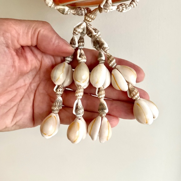 Shell Hanging Basket / Plant Hanger / Wall Hanging - Picture 4 of 16